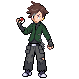 Pokemon Decimation Features